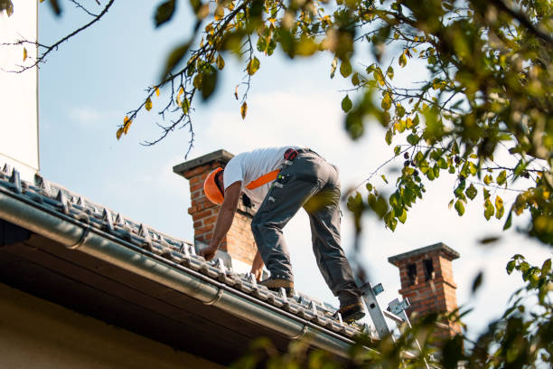 Best Chimney Flashing Repair  in Village Of Four Seasons, MO