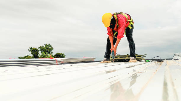 Best Skylight Installation and Repair  in Village Of Four Seasons, MO