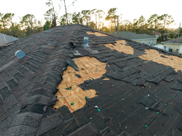 Best Asphalt Shingle Roofing  in Village Of Four Seasons, MO